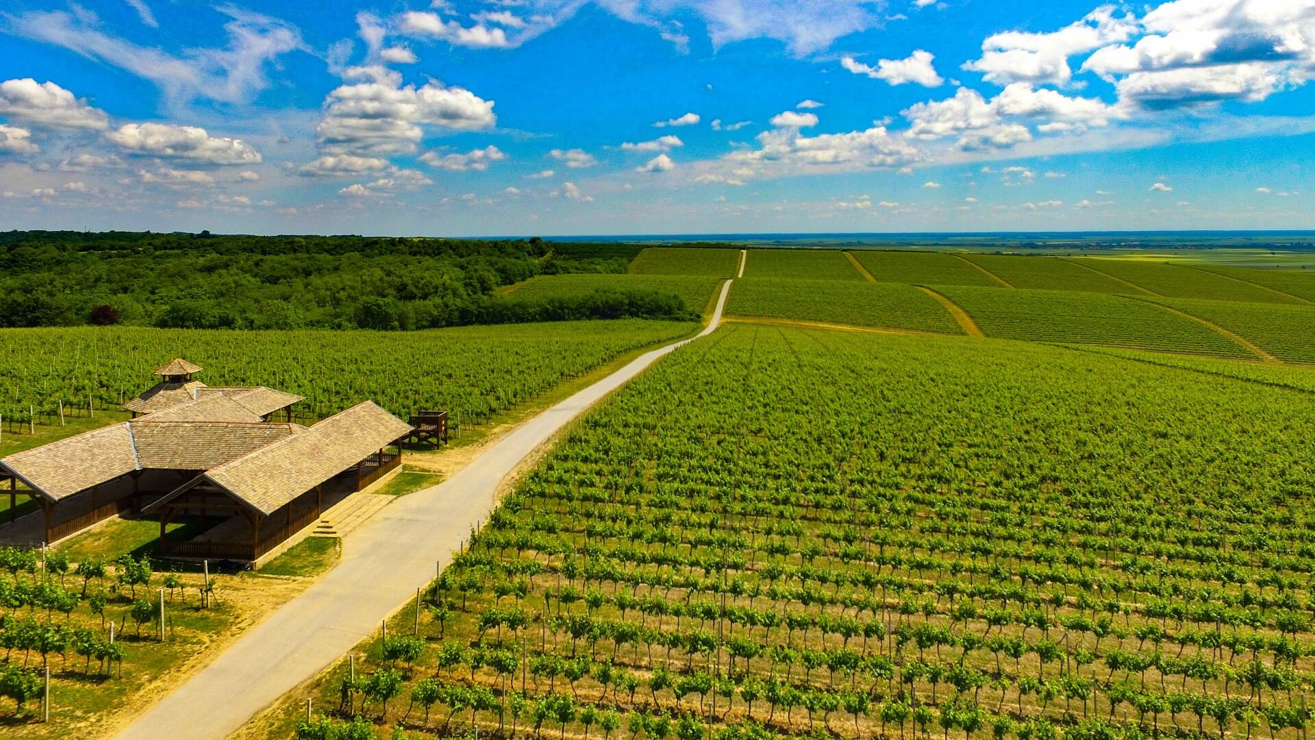 Belje — vinarija Banovog brda od 1697. godine